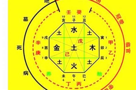 日神煞|八字命理—神煞指的是什么？（基础）